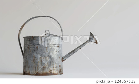 Galvanized watering can isolated, on a white background. 124557515