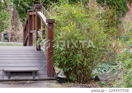 A charming wooden footbridge nestled amidst lush green bamboo and garden vegetation, tranquil outdoor retreat. Perfect for designs focused on nature, tranquility, and traditional garden aesthetics. 124557558