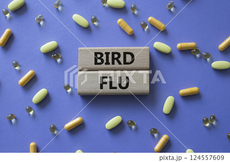 Bird Flu symbol. Concept word Bird Flu on wooden blocks. Beautiful purple background with pills. Medicine and Bird Flu concept. Copy space 124557609