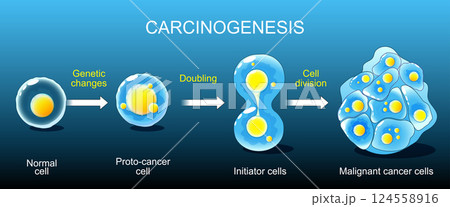 Oncogenesis. Cancer development Oncogenesis. Cancer development 124558916