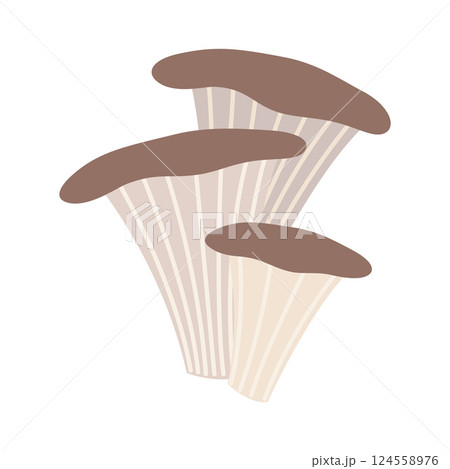 Oyster mushrooms. Vector illustration isolated on white background, hand drawn, flat design 124558976