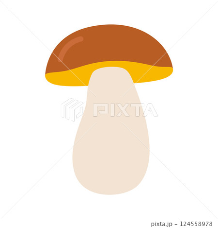 Porcini, cep or boletus mushroom. Vector illustration isolated on white background, hand drawn, flat design 124558978