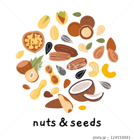 Nuts, seeds and kernelsset in circle shape. Ideal for healthy eating, natural food and organic product concepts. Trendy modern vector illustration isolated on white, hand drawn, flat design 124558981