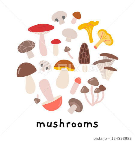 Edible mushrooms in circle shape. Ideal for healthy eating, natural food and organic product concepts. Trendy modern vector illustration isolated on white, hand drawn, flat design 124558982