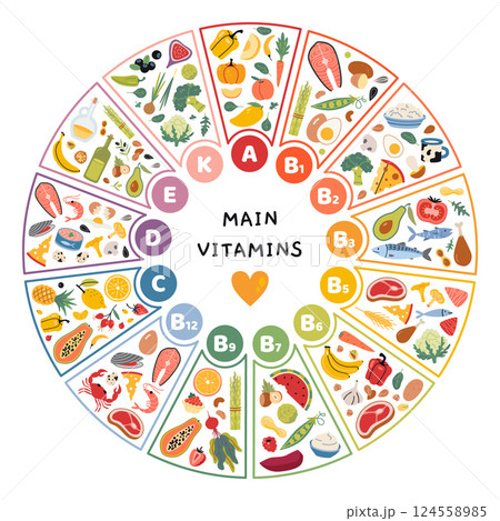 13 Main vitamins and their food sources in circle shape. Infographic for nutrition, wellness and healthcare concepts. Trendy modern vector illustration isolated on white, hand drawn, flat design 124558985