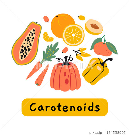 Yellow and orange colors Fruits and vegetables rich in carotenoid antioxidants, including papaya, carrot and bell pepper. Trendy modern vector illustration isolated on white, hand drawn, flat design 124558995