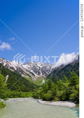 【爽やか上高地】河童橋周辺の新緑と穂高連峰 の絶景 124559259
