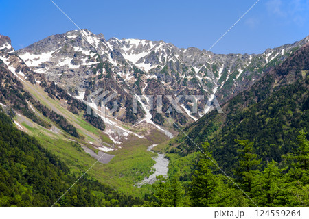 【爽やか上高地】河童橋周辺の新緑と穂高連峰 の絶景 124559264