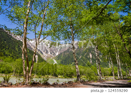【爽やか上高地】梓川沿いの新緑と穂高連峰 の絶景 【爽やか上高地】梓川沿いの新緑と穂高連峰 の絶景 124559290