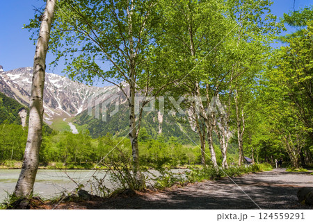 【爽やか上高地】梓川沿いの新緑と穂高連峰 の絶景 124559291