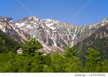 【爽やか上高地】梓川沿いの新緑と穂高連峰 の絶景 【爽やか上高地】梓川沿いの新緑と穂高連峰 の絶景 124559292