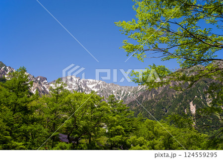 【爽やか上高地】梓川沿いの新緑と穂高連峰 の絶景 124559295