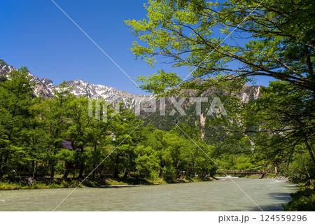 【爽やか上高地】河童橋周辺の新緑と穂高連峰 の絶景 【爽やか上高地】河童橋周辺の新緑と穂高連峰 の絶景 124559296
