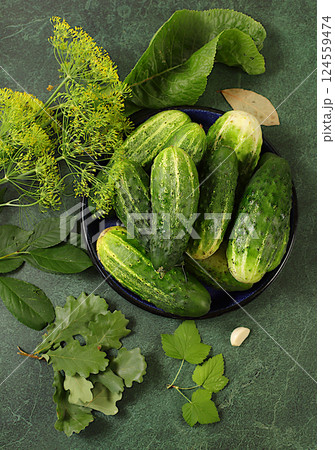Fresh cucumbers in a bowl and greens on a rustic table. Homemade pickling recipe, cucumbers and pickling ingredients, rustic harvest, home canning concept, healthy and natural food. selective focus Fresh cucumbers in a bowl and greens on a rustic table. Homemade pickling recipe, cucumbers and pickling ingredients, rustic harvest, home canning concept, healthy and natural food. selective focus 124559474