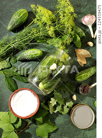 Homemade pickle recipe, cucumbers and pickling ingredients, Fresh cucumbers in a jar and greens on a concrete table, village harvest, home canning concept, healthy and natural food. selective focus 124559475