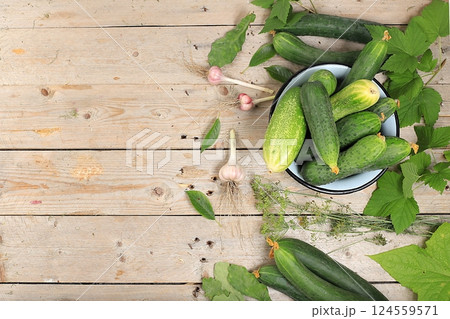 Fresh crispy cucumbers with currant, cherry and dill leaves for pickling in an iron bowl on an old wooden table, the concept of harvesting in the village, healthy and organic food, top view, selective 124559571