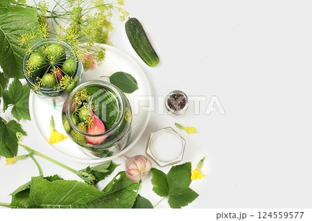 Cucumbers and ingredients for pickling them, the concept of home canning, healthy and natural food. Cucumbers, dill, garlic, currant leaves, cherries, horseradish, oak and basil, rustic pickle recipe, 124559577
