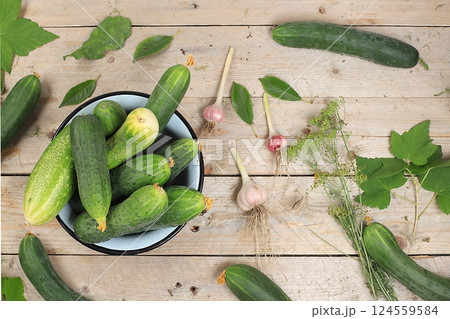 Cucumbers and ingredients for pickling them, the concept of healthy and natural food. Cooking pickles at home. Cucumbers, dill, garlic, mountain ash, currant leaves, cherries, horseradish and basil. Cucumbers and ingredients for pickling them, the concept of healthy and natural food. Cooking pickles at home. Cucumbers, dill, garlic, mountain ash, currant leaves, cherries, horseradish and basil. 124559584
