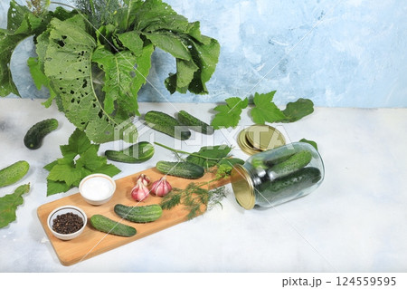 Cucumbers and ingredients for pickling them, home canning concept, Cucumbers, dill, garlic, currant leaves, cherries, horseradish, oak and basil, rustic pickling recipe, healthy and natural food. Cucumbers and ingredients for pickling them, home canning concept, Cucumbers, dill, garlic, currant leaves, cherries, horseradish, oak and basil, rustic pickling recipe, healthy and natural food. 124559595