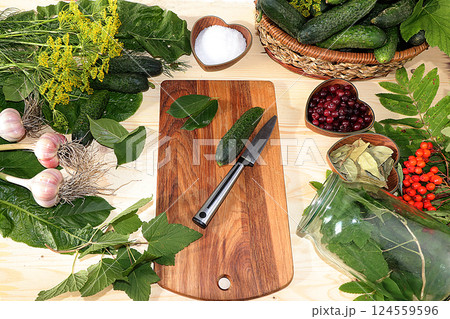 The process of cooking pickles in Russia at home, top view, copy space, flat lay. Cucumbers, dill, garlic, mountain ash on the home table, preservation of vegetables for the winter. The process of cooking pickles in Russia at home, top view, copy space, flat lay. Cucumbers, dill, garlic, mountain ash on the home table, preservation of vegetables for the winter. 124559596