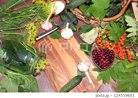 The process of cooking pickles in Russia at home, top view, copy space, flat lay. Cucumbers, dill, garlic, mountain ash on the home table, preservation of vegetables for the winter. The process of cooking pickles in Russia at home, top view, copy space, flat lay. Cucumbers, dill, garlic, mountain ash on the home table, preservation of vegetables for the winter. 124559601