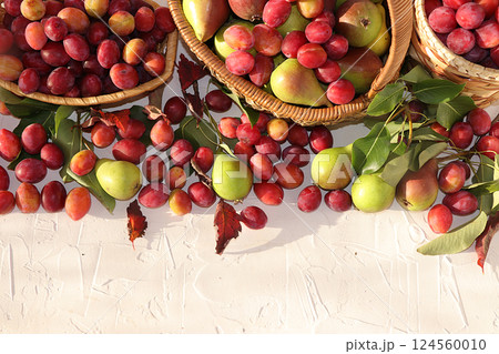Pear and plum in the autumn sunny garden in baskets on a wooden background, top view, copy space, flat lay. Harvesting at the cottage in the village, the beauty and gifts of nature, natural diet food, 124560010