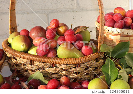 Pear and plum in the autumn sunny garden in baskets on a wooden background, copy space, Harvesting at the cottage in the village, the beauty and gifts of nature, natural diet food, selective focus 124560011