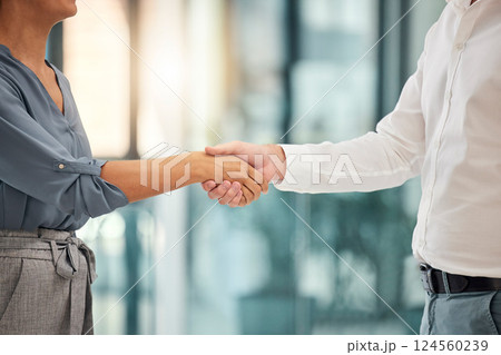 Business handshake, welcome and thank you for interview meeting or partnership success deal. B2B corporate worker congratulations, well done teamwork collaboration and employees shaking hands 124560239