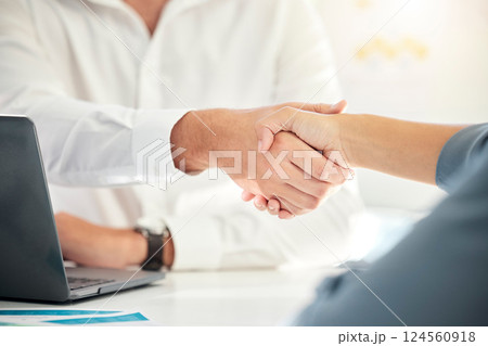 Business handshake, people meeting in office interview with human resources or we are hiring recruitment staff. Partnership deal agreement, employees working together or b2b technology contract 124560918