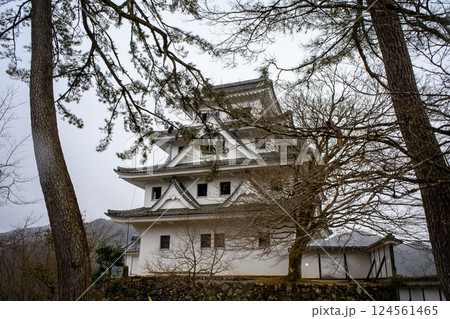 郡上八幡城 124561465