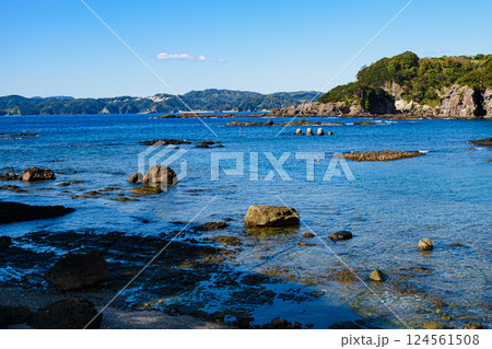 伊豆の海と青空の絶景 124561508