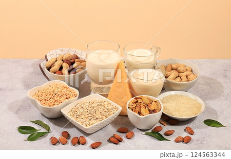 Assortment of vegan non-dairy products on concrete table, shop banner, vegetable alternative dairy products - milk, cream, yogurt, cheese, nuts, rice, oatmeal, lentils, healthy natural food concept, 124563344