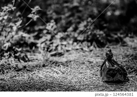 Bagged dog poop left on the side of a hiking trail.  124564381
