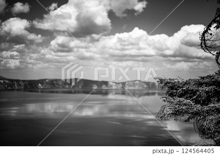 Selective focus on evergreen tree with distant view of Crater Lake National Park in Oregon  124564405