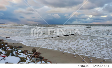 Scenic seaside landscape on empty coast of severe Baltic sea with seagulls and stormy waves rolling on sandy shore under dramatic sky with storm clouds at winter dusk. No people desolate seascape. 124564484