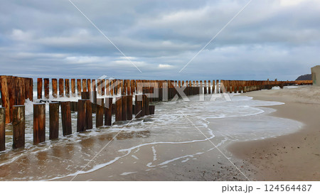 Empty sandy beach of stormy Baltic sea with calm waves rolling on old wooden breakwater piles as shore protection under dramatic cloudy sky at overcast winter day. With no people desolate seascape. 124564487