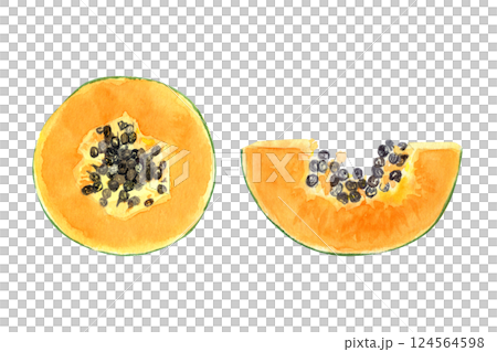 A fresh papaya slice with seeds watercolor illustration set isolated on white. The hand-painted tropical fruit clip art is perfect for culinary designs, labels, prints, cards, packages and menu 124564598