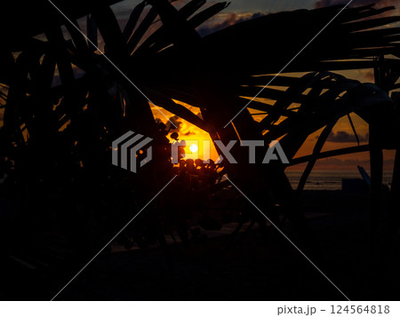 Evening on the beach. Beautiful orange sunset. Evening in Baumi. Black Sea coast. Rest on the sea. Sunset through the leaves Evening on the beach. Beautiful orange sunset. Evening in Baumi. Black Sea coast. Rest on the sea. Sunset through the leaves 124564818