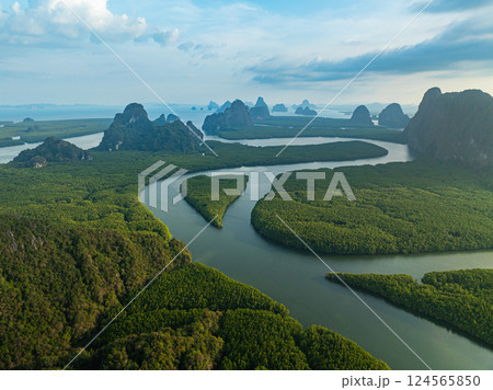 Aerial View of canals winding in the mangroves create a heart-shaped island. 124565850