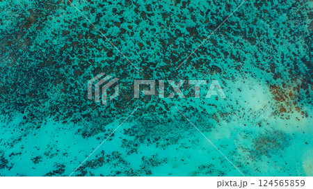 The island's coastline is full of coral reefs and white sandy beaches. 124565859