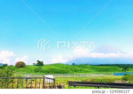 新緑の美しい風景 124566127