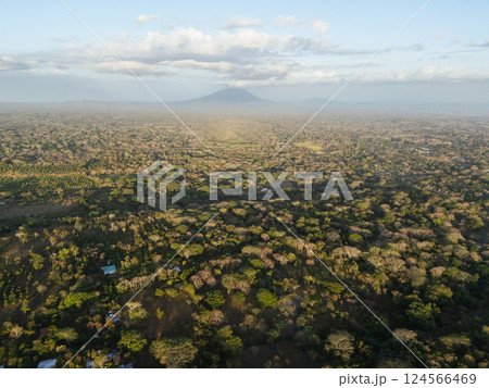 Lush greenery spreads across vast landscape with distant mountains under a bright sky Lush greenery spreads across vast landscape with distant mountains under a bright sky 124566469