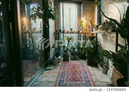 マイホーム　観葉植物　個性的　インテリア　無人　人なし 124566668