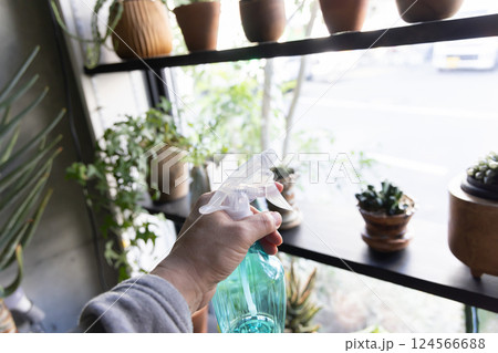 マイホーム　観葉植物　個性的　インテリア　無人　人なし 124566688