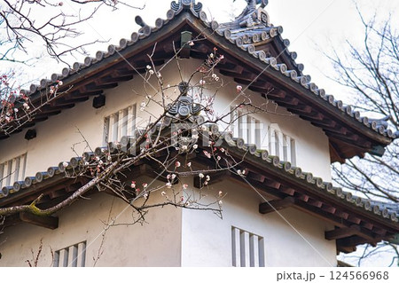 高崎城跡の桜 124566968
