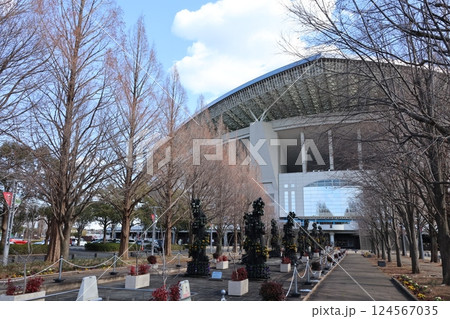 冬枯れのメタセコイア並木の埼玉スタジアムの風景 124567035