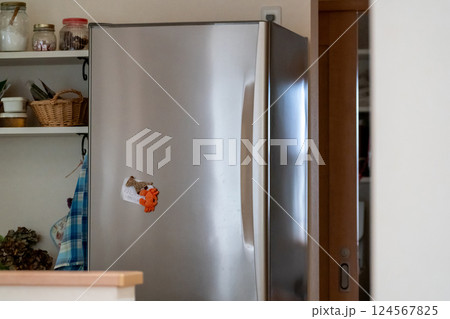 家庭の冷蔵庫 124567825