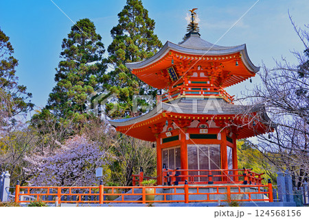 桜と遍照塔3 桜と遍照塔3 124568156