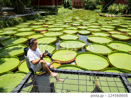 Asian Man is holding a camera and taking a photo at outdoor field with the Lily Lotus Leaf pond background. Asian Man is holding a camera and taking a photo at outdoor field with the Lily Lotus Leaf pond background. 124568608