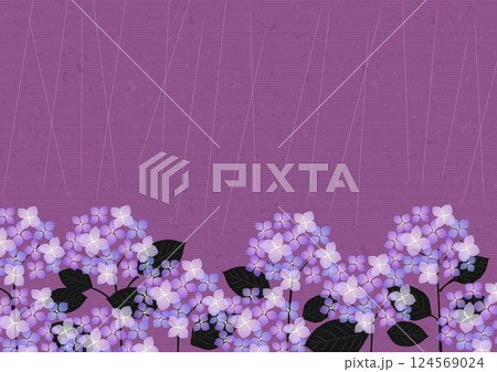 あじさい、背景、梅雨、セロハン、紫、横 あじさい、背景、梅雨、セロハン、紫、横 124569024
